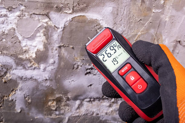 Best Preventive Mold Services in Ashland, OH
